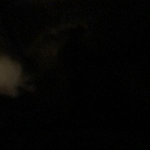 Meet your Posher, Austyn